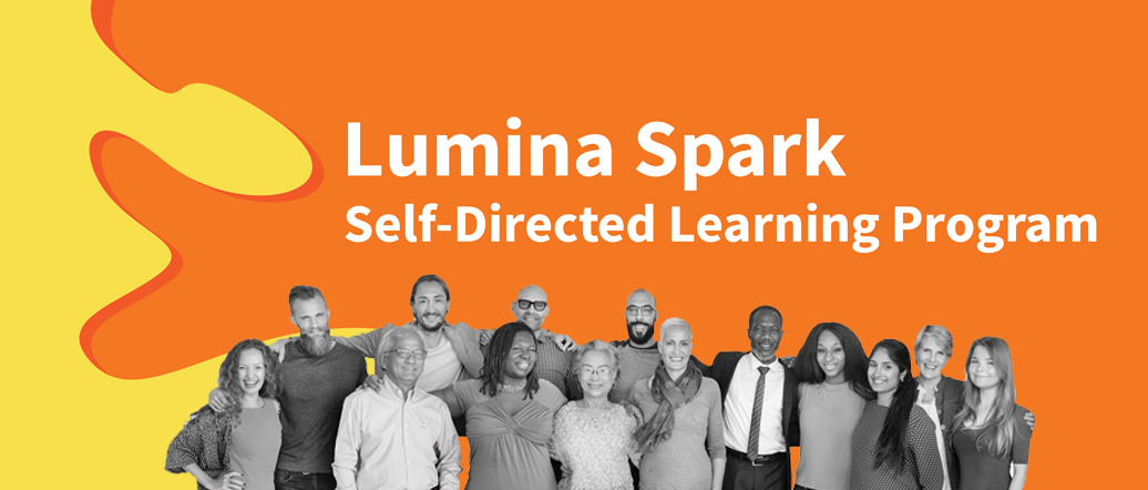 Lumina Spark Self-directed Online Learning